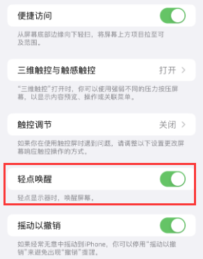 望江苹果授权维修站分享iPhone轻点无法唤醒怎么办 