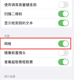 望江苹果手机维修网点分享iPhone如何开启九宫格构图功能 