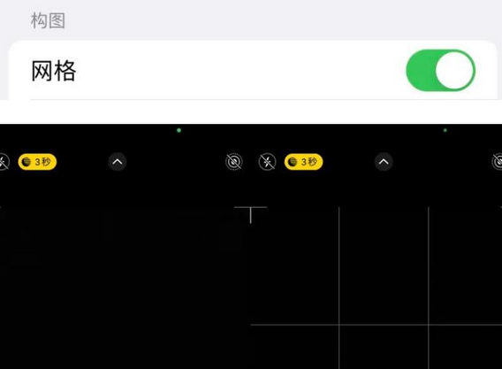 望江苹果手机维修网点分享iPhone如何开启九宫格构图功能