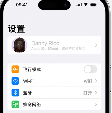 望江appleID维修服务iPhone设置中Apple ID显示为灰色无法使用 