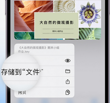 望江apple维修中心分享iPhone文件应用中存储和找到下载文件
