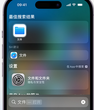 望江apple维修中心分享iPhone文件应用中存储和找到下载文件 