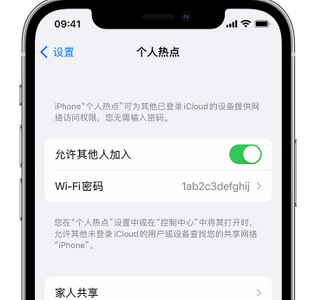 望江apple服务站点分享iPhone上个人热点丢失了怎么办