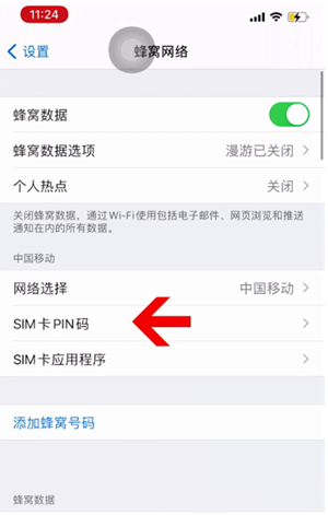 望江苹果14维修网分享如何给iPhone14的SIM卡设置密码 