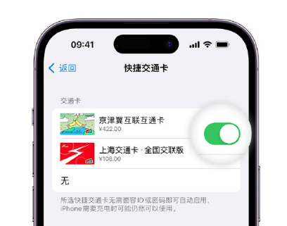 望江apple维修点分享iPhone上更换Apple Pay快捷交通卡手绘卡面 