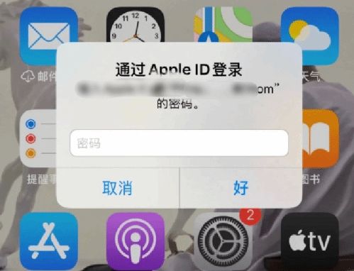 望江苹果设备维修分享无故多次要求输入AppleID密码怎么办 