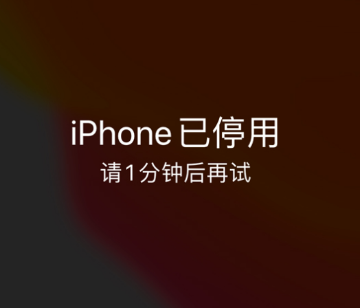 望江苹果手机维修分享:iPhone 显示“不可用”或“已停用”怎么办？还能保留数据吗？ 