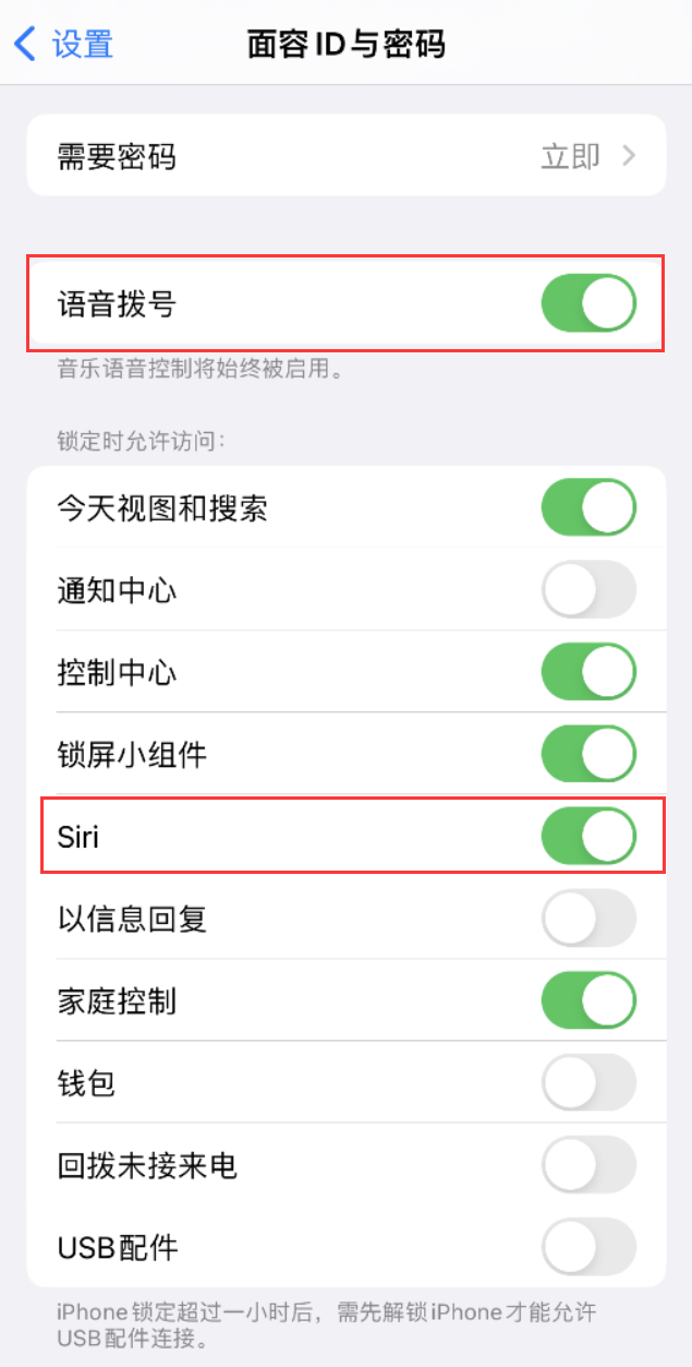 望江苹果维修网点分享不解锁 iPhone 的情况下通过 Siri 拨打电话的方法 