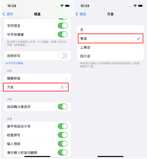 望江苹果14服务点分享iPhone 14plus设置键盘粤语方言的方法 