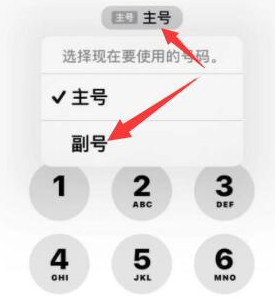 望江苹果14维修店分享iPhone 14 Pro Max使用副卡打电话的方法 