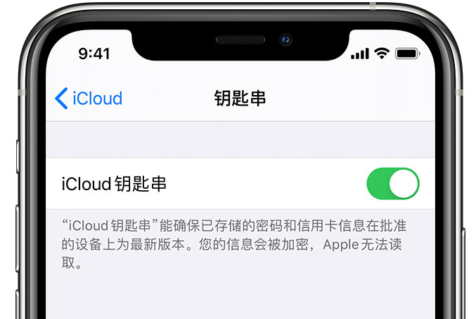 望江苹果手机维修分享在 iPhone 上开启 iCloud 钥匙串之后会储存哪些信息 