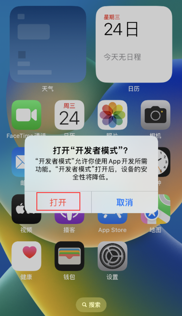 望江苹果手机维修分享如何打开开发者模式 
