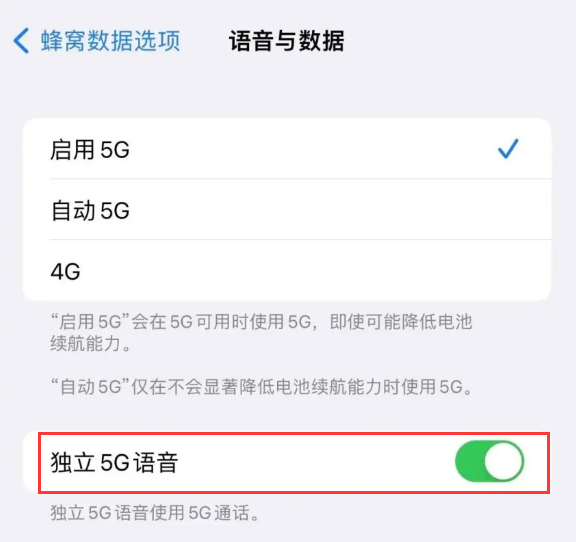 望江苹果14维修分享iPhone 14 Pro如何开启VoNR 