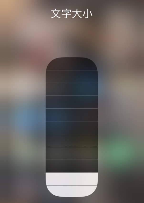 望江苹果手机维修分享小技巧：在 iPhone 控制中心快速调节字体大小 