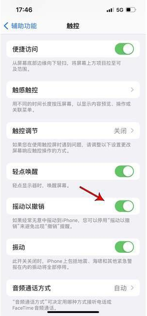 望江苹果手机维修分享iPhone手机如何设置摇一摇删除文字 