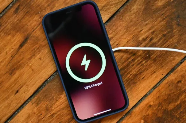 望江苹果手机维修分享iPhone如何正确充电 