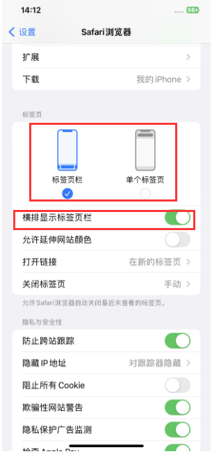 望江苹果手机维修分享Safari浏览器如何切换标签栏位置 