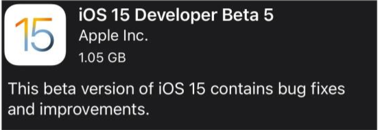 望江苹果手机维修分享如何升级到iOS15.0 beta5 