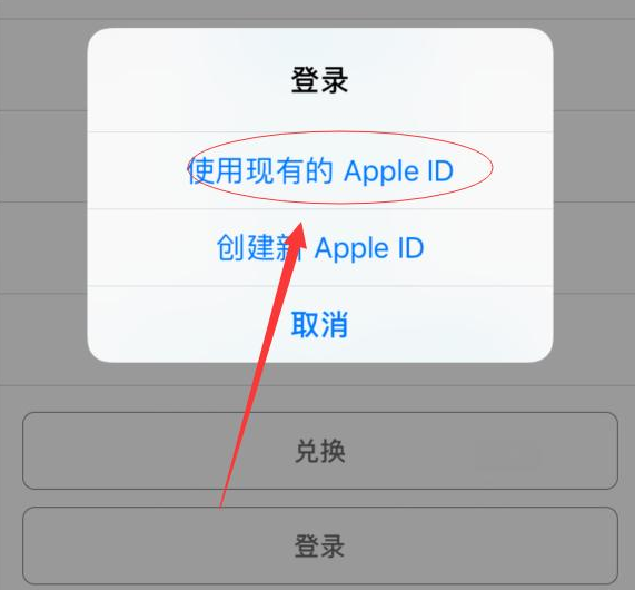 望江苹果手机维修分享两台iPhone设备可以同时登录一个Apple ID吗 