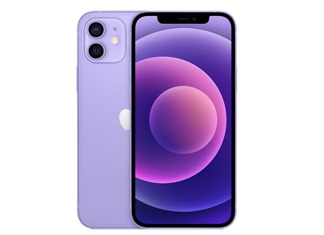 望江苹果手机维修分享现阶段要不要入手紫色版iPhone12 