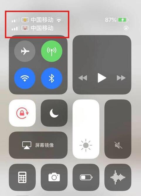 望江苹果手机维修分享为 iPhone 12 双卡设置标签 