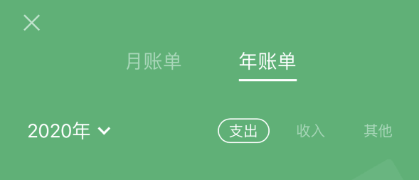 望江苹果手机维修分享如何在 iPhone 上查看支付宝和微信年支出账单 